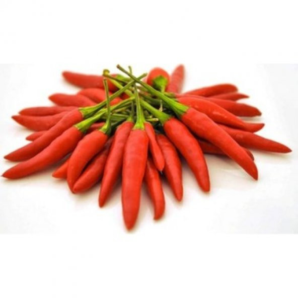 İthal Çok Acı Macar Biberi Tohumu Ekim Seti 10 Tohum +Saksı+Topra - Resim 3