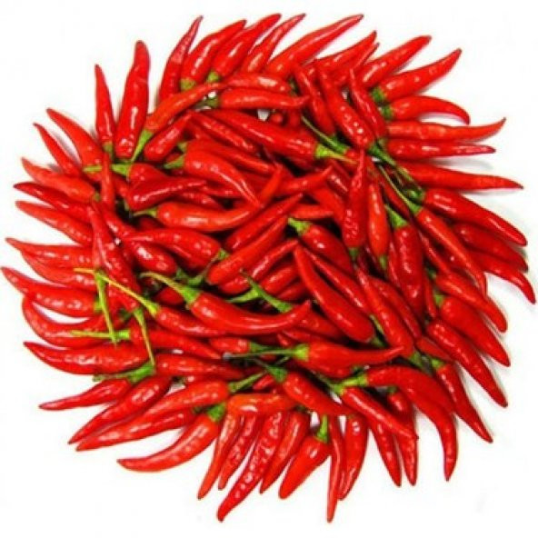 İthal Çok Acı Macar Biberi Tohumu Ekim Seti 10 Tohum +Saksı+Topra - Resim 4