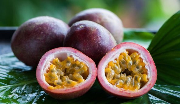 Tropikal Tutku Meyvesi Tohumu Ekim Seti 3 Tohum +Saksı+Toprak - Resim 4