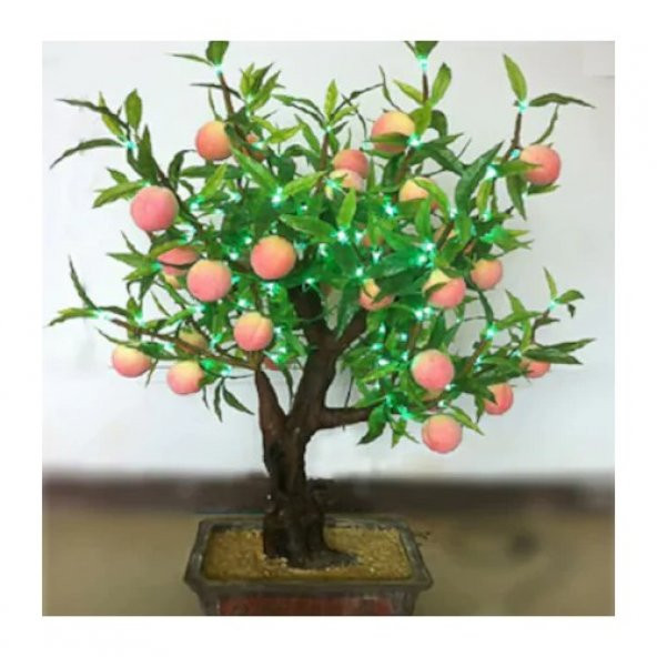 Şeftali Bonzai Ağacı Tohumu 1 Tohum + Süpriz Hediye Bonsai Tohumu - 3
