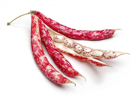 Sırık Barbunya Tohumu 15 Tohum Fasulyesi Tohumu Fasülye + Süpriz ürün görseli