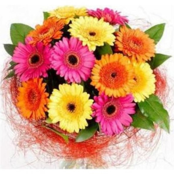 Karışık Gerbera Çiçeği Tohumu 5 Tohum Jerbera Çiçeği Çiçek Tohumu - 2