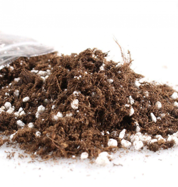 5 Litre Bonsai Toprağı Bonzai Toprağı Toprak Torf Bonzai Ağacı