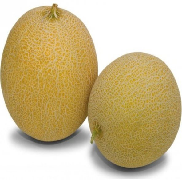 Ananas Kavun Tohumu 15 Tohum + Süpriz Hediye - 5