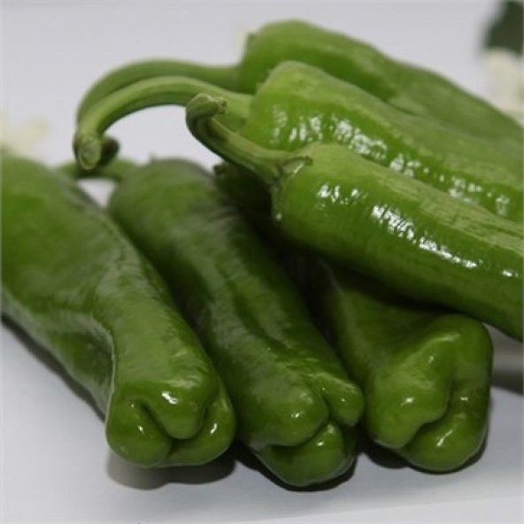 Mazamort Biber Tohumu Üç Burun Biber 20 Tohum Köy Biberi - 3