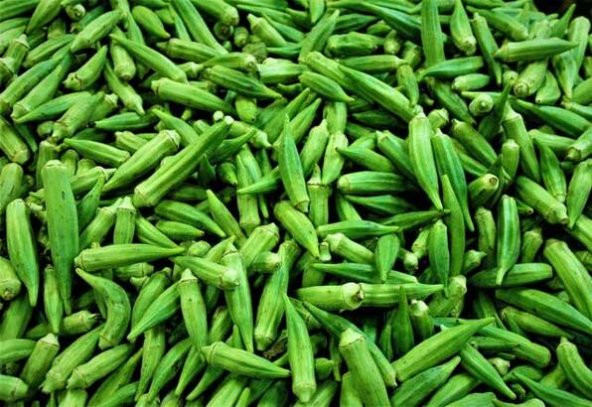 Meşhur Bamya Tohumu 20 Tohum + Süpriz Hediye Tohum - 4