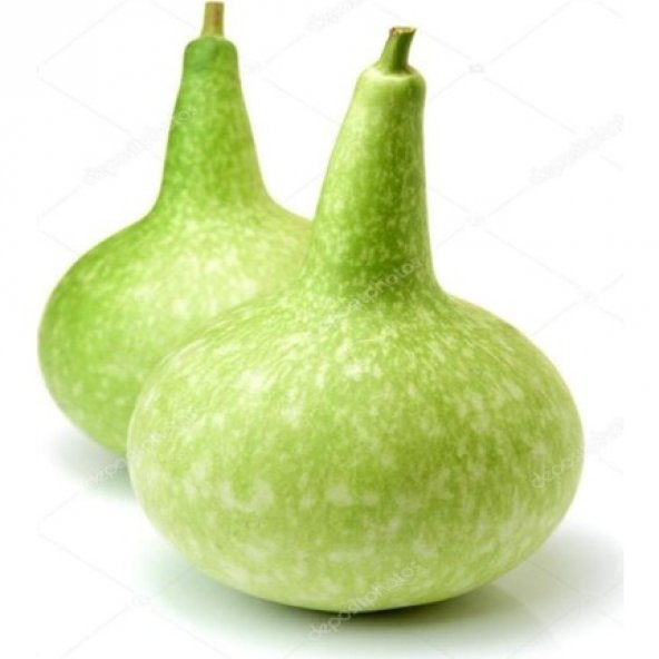 Süs Kabağı Tohumu Ekim Seti 3 Tohum Su Kabağı + Saksı+Toprak