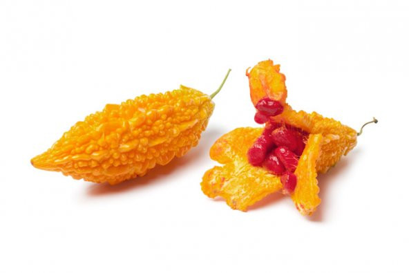 Kudret Narı Tohumu 2 Tohum Cennet Meyvesi + Süpriz Hediye Tohum