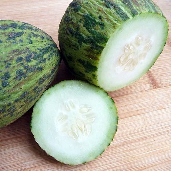 Turşuluk Kelek Tohumu 10 Tohum + Süpriz Hediye Tohum - 2