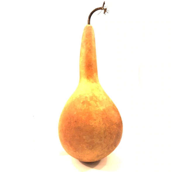 Süs Kabağı Tohumu Ekim Seti 3 Tohum Su Kabağı + Saksı+Toprak - 2