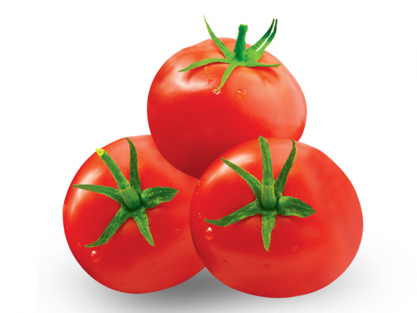 Falkon Domates Tohumu 25 Tohum + Süpriz Hediye Tohum