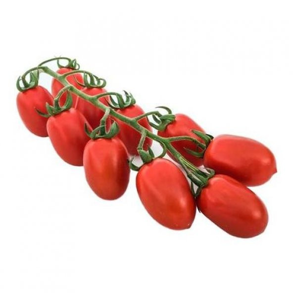 İtalyan Rio Grande Domates Tohumu 25 Tohum + Süpriz Hediye Tohum - Resim 3
