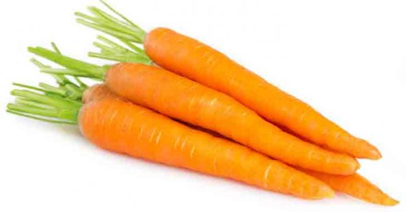 Ankara Beypazarı Havuç Tohumu 100 Tohum + Süpriz Hediye Tohum