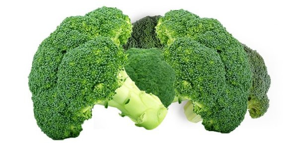 Brokoli Tohumu 30 Tohum + Süpriz Hediye Tohum