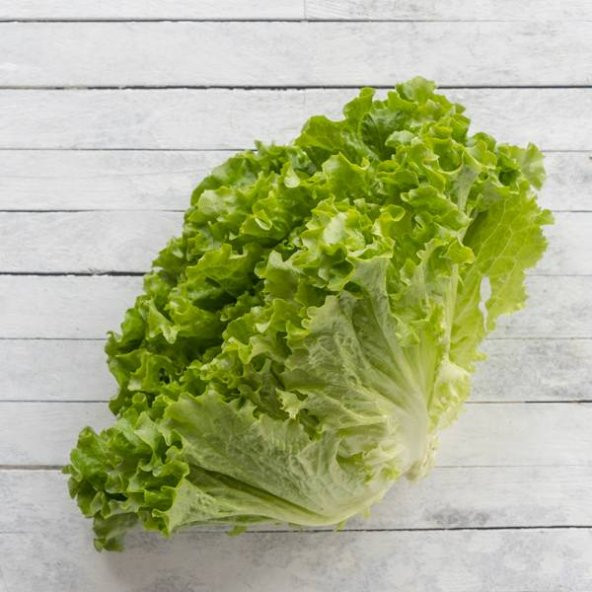 Kıvırcık Marul Tohumu 100 Tohum + Süpriz Hediye Tohum - 3