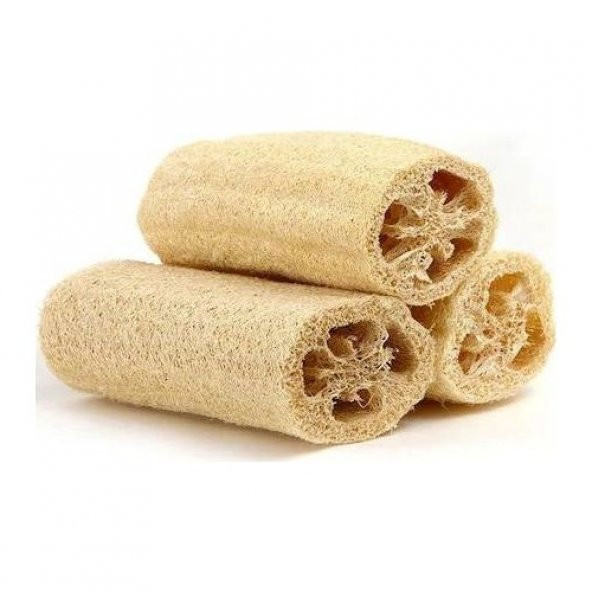 Lif Kabağı Tohumu 3 Tohum Kabak Tohumu + Süpriz Hediye Tohum