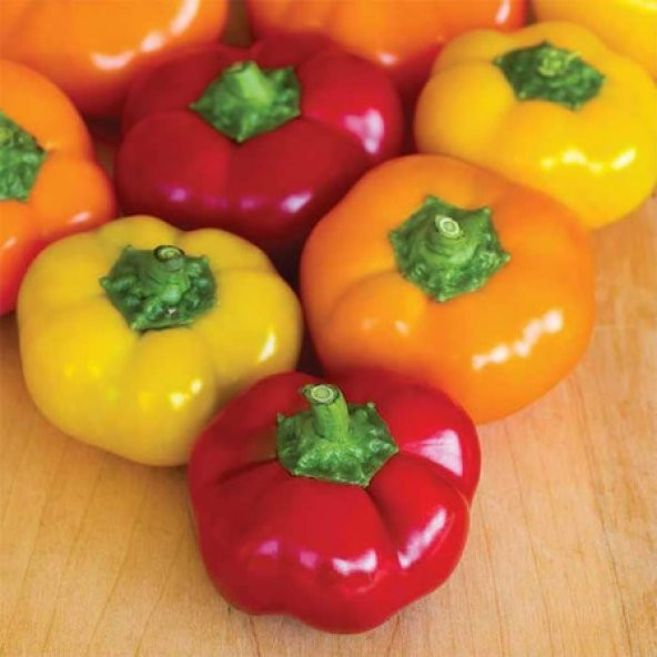 Nadir Peynir Biberi Tohumu Biber Tohumu 5 Tohum + Süpriz Hediye - 2