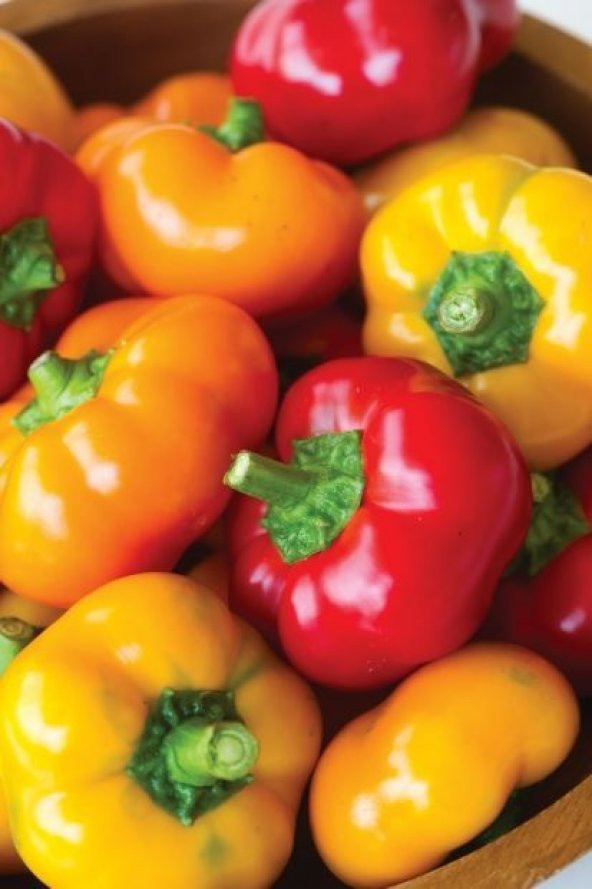 Nadir Peynir Biberi Tohumu Biber Tohumu 5 Tohum + Süpriz Hediye - 3