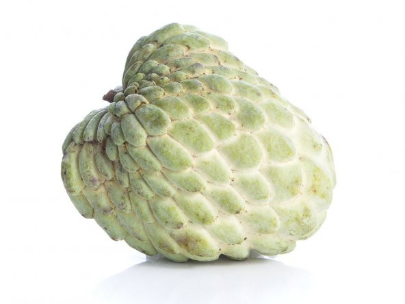 Sugar Apple Meyvesi Tohumu 3 Tohum + Süpriz Hediye Tohum - 2