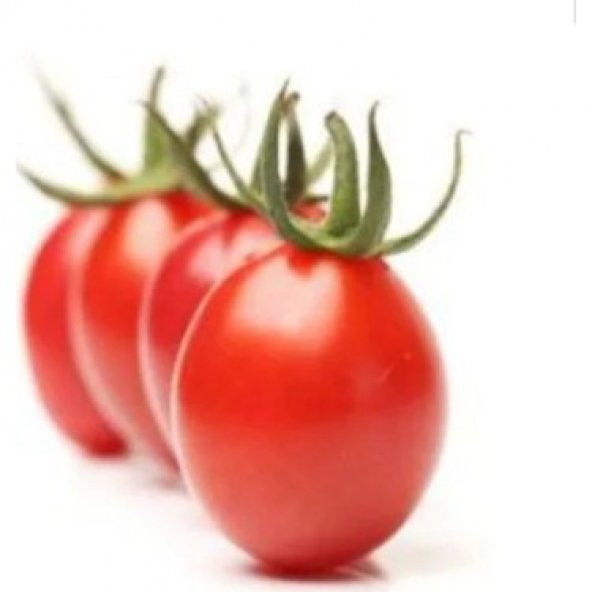 Nadir Thailand Yumurta Domates Tohumu 10 Tohum + Süpriz Hediye To