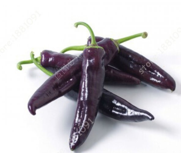 Acı Mor Biber Tohumu 5 Tohum + Süpriz Hediye Sebze Tohumu