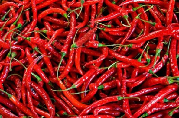 Acı Kırmızı Ceyenne Biber Tohumu 10 Tohum + Süpriz Hediye Tohum - Resim 2