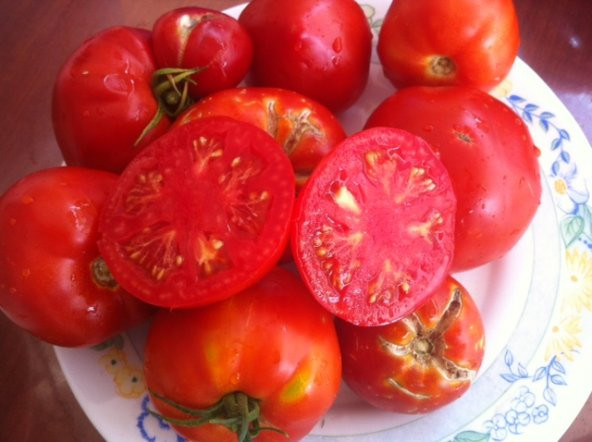 Ayaş Domatesi Tohumu 10 Tohum Ayaş Domates Tohumu + Süpriz Hediye - 4