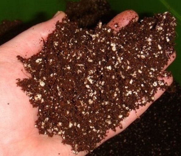 NPK Perlit Toprak Karışımı 5 Litre Torf Çimlendirme Toprağı