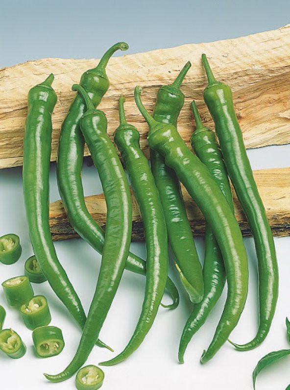 Acı Demre Biber Tohumu 10 Tohum Demre Biberi +Süpriz Hediye - Resim 3