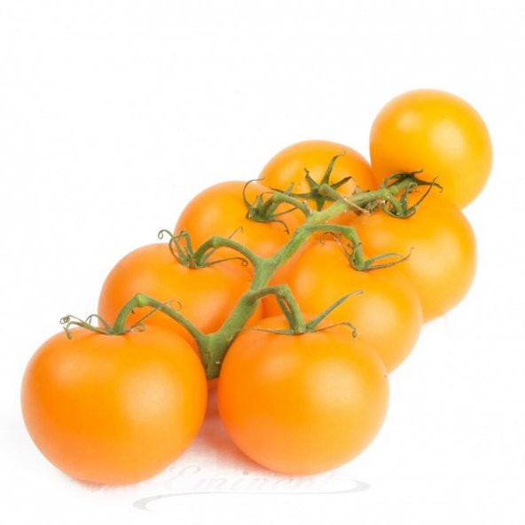 Cherry Turuncu Domates Tohumu 5 Tohum + Süpriz Hediye Tohum
