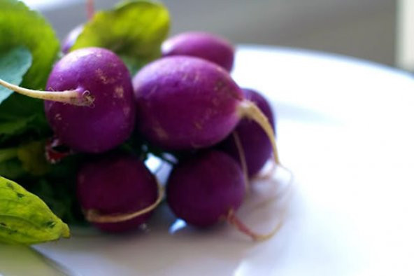 Nadir Mor Turp Tohumu 50 Tohum + Süpriz Hediye Sebze Tohumu - 2