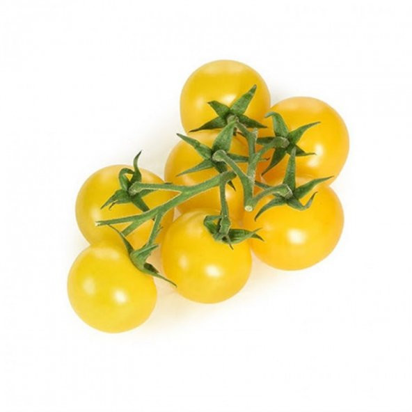 Cherry Saksılık Sarı Domates Tohumu 5 Tohum + Süpriz Hediye Tohu