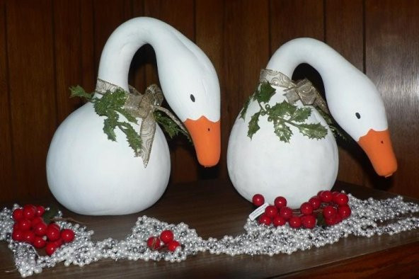 Kuğu Su Kabağı Tohumu Süs Kabağı Tohumu 3 Tohum + Süpriz Tohum