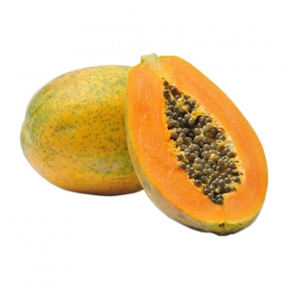 Tropikal Papaya Ağacı Tohumu 3 Tohum + Süpriz Hediye Tohum