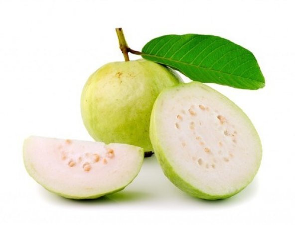 Psidium Guava Meyvesi Tohumu 3 Tohum + Süpriz Hediye Tohum