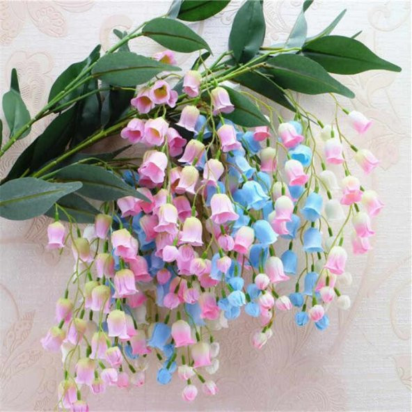 Nadir Çan Orkide Tohumu 5 Tohum + Süpriz Hediye Tohum - 6