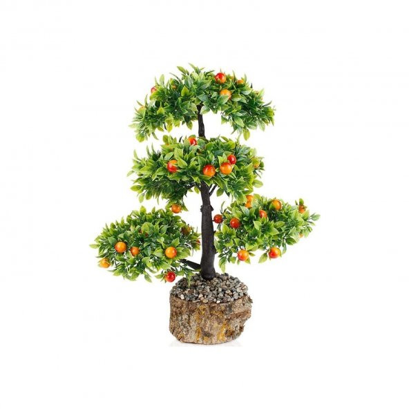 Bodur Erik Bonzai Ağacı Ekim Seti 2 Tohum + Saksı+Toprak Set ürün görseli 1