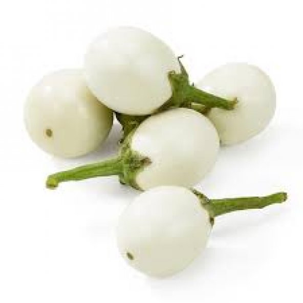Nadir İthal Beyaz Patlıcan Tohumu 5 Tohum + Süpriz Hediye Tohum