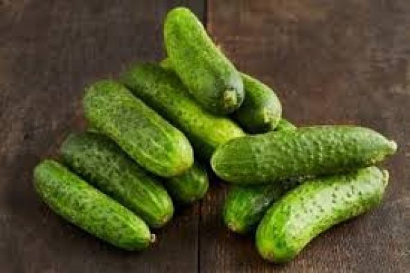 Kornişon Salatalık Tohumu 15 Tohum + Süpriz Hediye Sebze Tohumu - 2