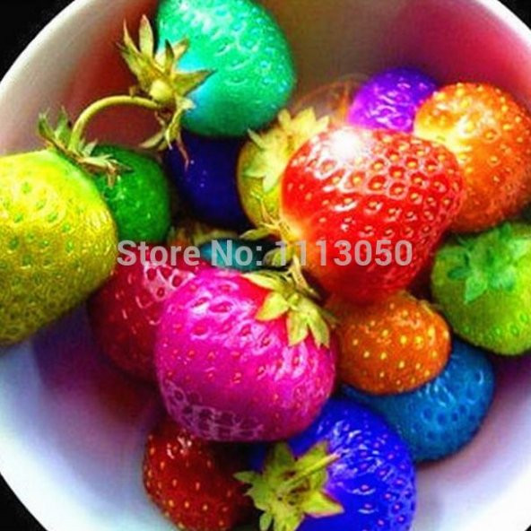 9 Farklı Renk Çilek Tohumu 18 Tohum + Süpriz Hediye Tohum - 2