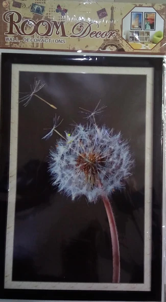 TUTKU 3 BOYUTLU STİKER TABLO XA-009 XA-017 - 45 x 30cm - Resim 2