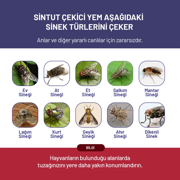 Sintut Kara Sinek Çekici Yem, 1 Kg. - 4