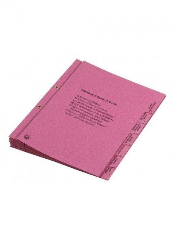 GULPAS OGRETMEN OZLUK DOSYASI ICI 8 DOSYA (699) ürün görseli