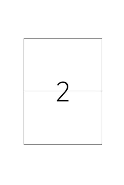 TANEKS LAZER ETİKET TW 2102 210*148,5 MM - 2