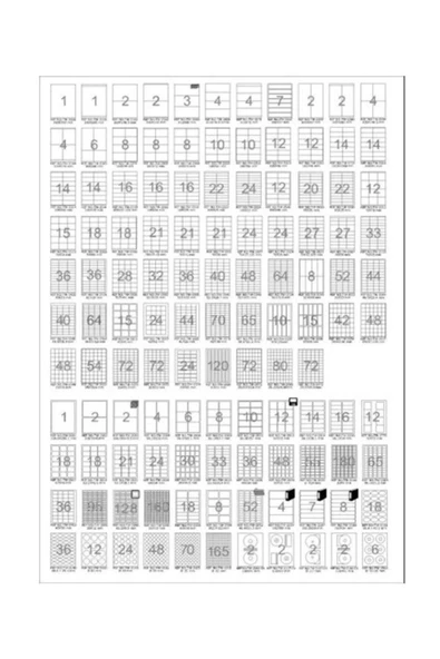 TW 2080 TANEX 26,5X29,7 LAZER ETİKET - 2