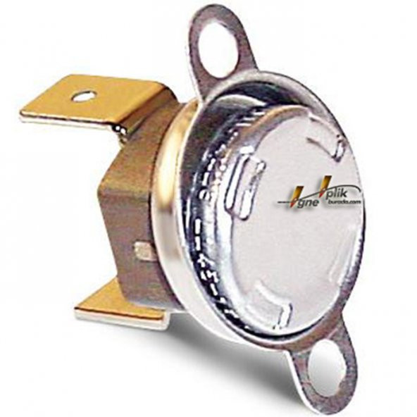 Limit Termostat Kazanlı Ütüler İçin 200 °C - 2