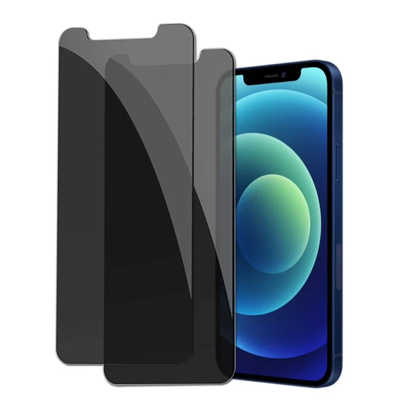 Apple iPhone 12 Pro Max Full-Screen Privacy Görünmez Mat  Hayalet Ekran Koruyucu Cam