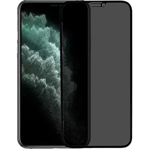 For Apple iPhone 11 Pro Max - XS MAX (6.5") Logis Full-Screen Privacy Mat Görünmez Hayalet