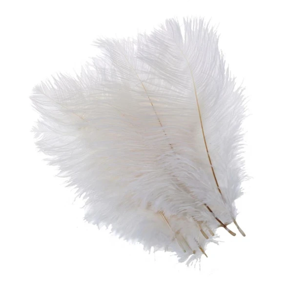 Nettenevime Deve Kuşu Tüyü Beyaz 40-45 CM Gerçek Tüy 1 Adet - 6