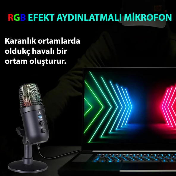 TriLine Profesyonel Kardioid RGB Oyuncu Stüdyo Kayıt Kablolu Podcast Mikrofonu - Resim 4